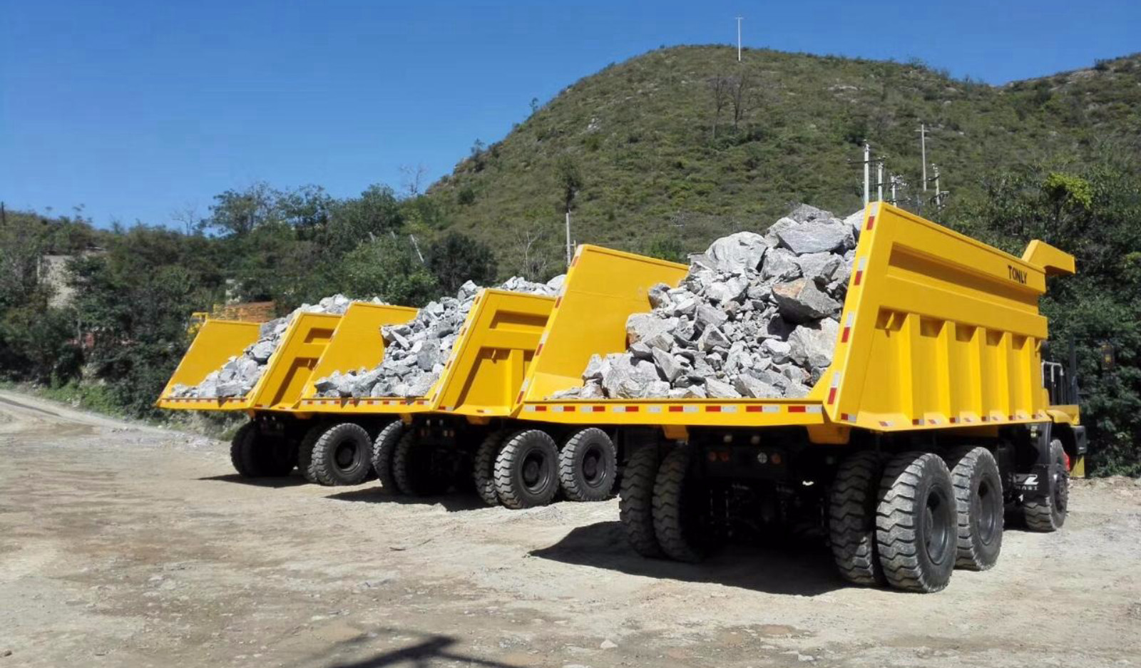 Tonly TL875 Illustrative Photo (Slide 3)